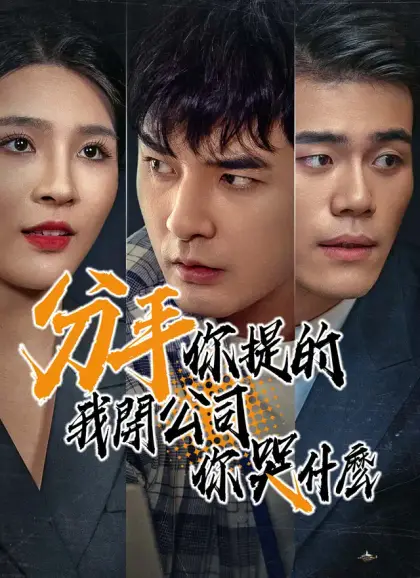分手你提的,我開公司你哭什麽