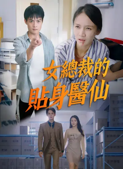 女總裁的貼身醫仙