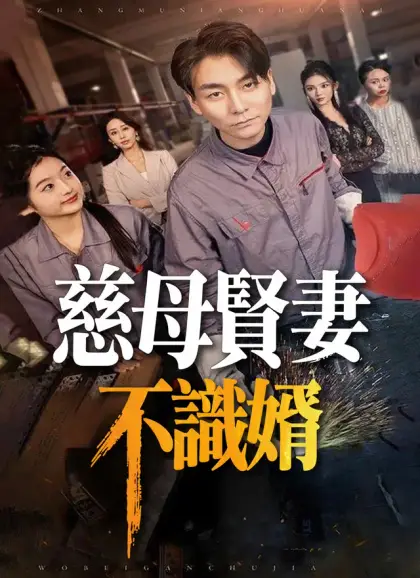 慈母賢妻不識婿
