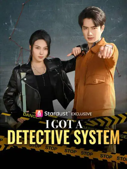 I Got a Detective System